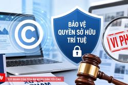 Quảng Ninh tăng cường xử lý, công khai vi phạm quyền sở hữu trí tuệ