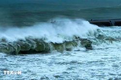 Thời tiết ngày 12/7: Mưa dông diện rộng, cảnh báo gió giật mạnh trên biển