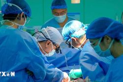 Th&agrave;nh phố Hồ Ch&iacute; Minh: Th&ecirc;m một ca gh&eacute;p tim th&agrave;nh c&ocirc;ng từ người chết n&atilde;o