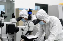 Kết nối trí tuệ Việt - Bài 1: Quy tụ chất xám để bứt phá công nghệ
