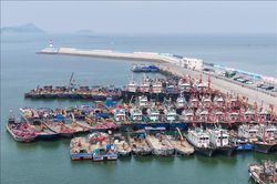 Trung Quốc căng mình phòng chống bão Bavi