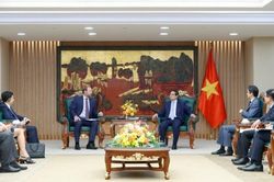 Nhà đầu tư Mỹ vẫn đặt cược vào điện gió ngoài khơi Việt Nam