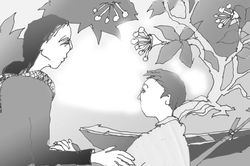 Bông nắng giữa đêm