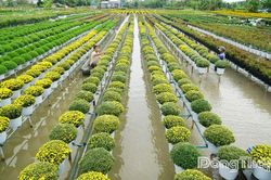 Ngồi xuống giữa một miền quê