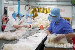 Đồng Tháp: Xuất khẩu khẳng định động lực tăng trưởng