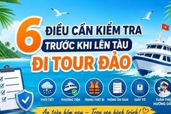 Infographic 6 điều cần kiểm tra trước khi lên tàu đi tour đảo