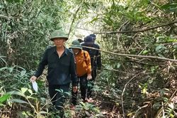 Giữ 'lá phổi xanh' phía Nam Lâm Đồng