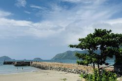 Côn Đảo: Đất kể chuyện người