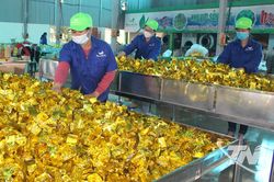 Xây dựng hạt nhân chính trị trong hợp tác xã