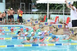Thái Nguyên giành ngôi Á quân toàn đoàn Giải bơi 'Đường đua xanh' quốc gia
