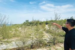 Giữ 'lá chắn xanh' nơi đầu sóng