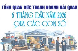 Infographics: Tổng quan bức tranh ngành Hải quan 6 tháng đầu năm 2026 qua các con số
