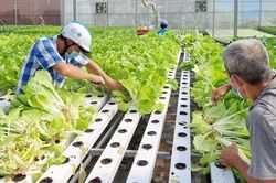 Hà Nội hoàn thiện hành lang pháp lý, đưa Luật Thủ đô 2026 sớm vào cuộc sống