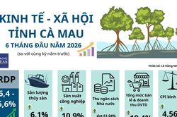 Các chỉ số kinh tế nổi bật của Cà Mau nửa đầu năm 2026