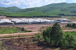 Người d&acirc;n vẫn bức x&uacute;c v&igrave; m&ugrave;i h&ocirc;i từ Trang trại chăn nu&ocirc;i heo Minh Ph&uacute;c