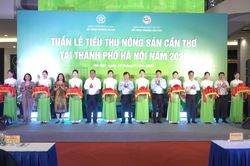 Hà Nội mở rộng đầu ra cho nông sản Cần Thơ