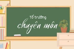Tổ trưởng chuyên môn là viên chức quản lý nhưng không có nhiệm kỳ: Cần thêm hướng dẫn