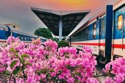 Giá vé tàu du lịch Huế - Phong Nha dự kiến 360.000 đồng/người/lượt
