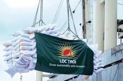 Cổ phiếu LTG của Tập đoàn Lộc Trời (LTG) bị đưa vào diện cảnh báo từ ngày 14/7