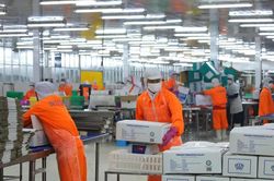 Ban hành quy định mới về quản lý thuế hàng hóa xuất, nhập khẩu