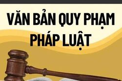 TANDTC kiến nghị nâng cấp Cơ sở dữ liệu quốc gia về pháp luật