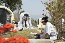 Bất động sản nghĩa trang hút nhà đầu tư giữa lúc thị trường trầm lắng