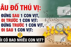 Câu đố '2 con vịt đi trước 2 con vịt' khiến 99,9% người chơi bó tay