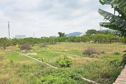 Quảng Ninh: 317 hồ sơ chuyển từ đất nông nghiệp sang đất ở, phường giải trình thế nào?