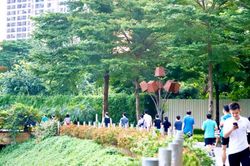 Triết lý phát triển 'rừng trong phố' và tầm nhìn thế kỷ