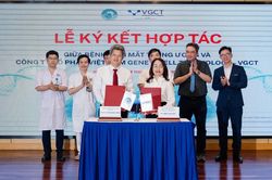 Hàng trăm nghìn người Việt chờ ghép giác mạc, hy vọng mới từ công nghệ giác mạc sinh học