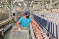 Dệt may Hà Nội bị phạt vì nhiều lần kê khai thiếu doanh thu