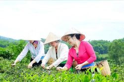 Hà Nội: Hiệu quả từ vận hành chính quyền địa phương 2 cấp
