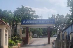 Ph&aacute;t hiện thi thể nam giới tại Sở N&ocirc;ng nghiệp v&agrave; M&ocirc;i trường L&agrave;o Cai
