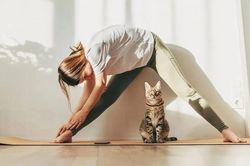 Muốn hai quả thận khỏe mạnh, nhất định từ bỏ 3 thói quen này