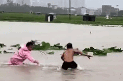 900 con rắn sổng chuồng sau lũ, hé lộ ngành công nghiệp ít biết ở TQ