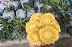 Dứa mật gây 'sốt' trên chợ mạng, giá chỉ vài chục nghìn đồng/kg