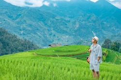 Đi đ&acirc;u ngắm m&ugrave;a l&uacute;a xanh miền n&uacute;i ph&iacute;a Bắc?