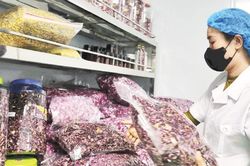 Nông sản đáp ứng tốt hơn nhu cầu thị trường