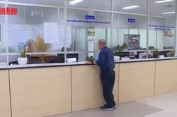 [Video] Từ 13/7, doanh nghiệp xuất nhập khẩu sản phẩm mật mã dân sự phải khai đúng mã theo quy định mới