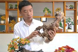 Quảng Trị công nhận 38 sản phẩm, bộ sản phẩm công nghiệp nông thôn tiêu biểu