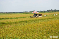 Giảm phát thải khí nhà kính trong nông nghiệp