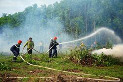 Tăng cường công tác phòng cháy , chữa cháy rừng