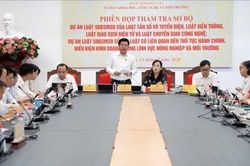 Dự kiến bãi bỏ 2 thủ tục hành chính, cắt giảm 47 điều kiện kinh doanh trong 4 luật