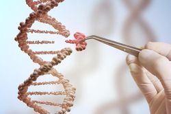 Công nghệ chỉnh sửa gene: Chiếc 'kéo phân tử' thay đổi tương lai y học
