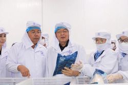 Phó Thủ tướng Hồ Quốc Dũng đến thăm, làm việc với doanh nghiệp An Giang