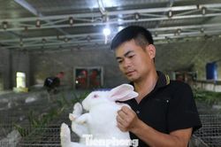 Chàng trai 9x và quyết định đi ngược số đông sau hơn 10 năm xa quê