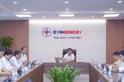 EVNGENCO1 đẩy mạnh khoa học công nghệ, đổi mới sáng tạo và chuyển đổi số