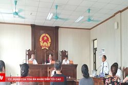 Vì sao Tòa công nhận hiệu lực hai giấy chuyển nhượng đất?