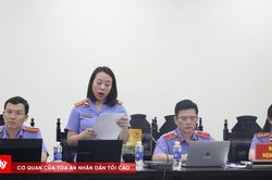Vợ chồng Giám đốc Công ty Herbitech bị đề nghị tổng cộng gần 40 năm tù