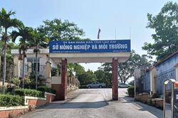 Cán bộ Sở Nông nghiệp và Môi trường Lào Cai tử vong tại cơ quan